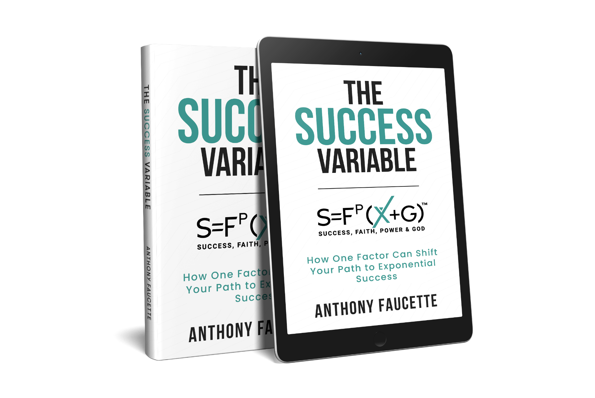 The Success Variable book